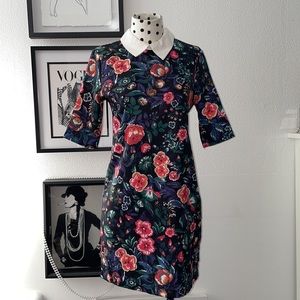 ZARA White Collar Short Dress